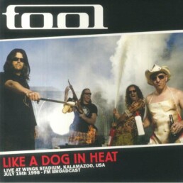 Tool - Like A Dog In Heat - VINYL LP