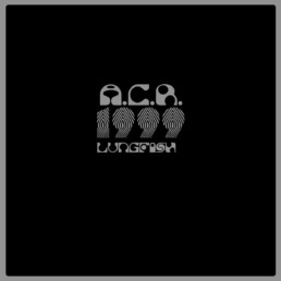 LUNGFISH-ACR-1999-Vinyl-LP