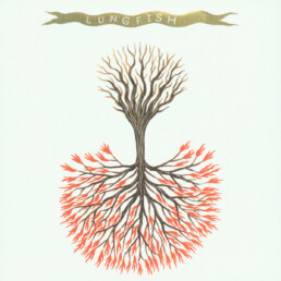 LUNGFISH-Love-Is-Love-Vinyl-LP