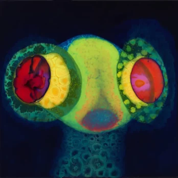 Osees - SORCS