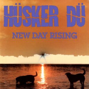 Hüsker Dü ‎- New Day Rising - VINYL LP