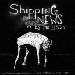 Shipping News - Flies The Fields - VINYL LP