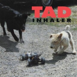 tad _ Inhaler