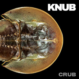 Knub - Crub - VINYL