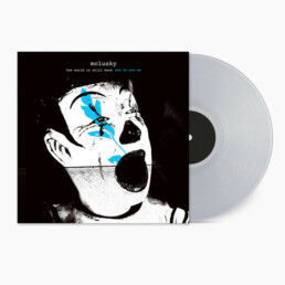 Mclusky - The world is still here and so are we - VINYL
