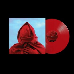 Not Scientists - Staring At The Sun - VINYL