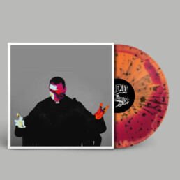 Pigs Pigs Pigs Pigs Pigs Pigs Pigs - Feed The Rats - VINYL