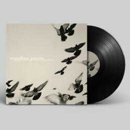 VENETIAN SNARES - ROSSZ CSILLAG ALATT SZULETETT (2025 CLASSIC BLACK LP)