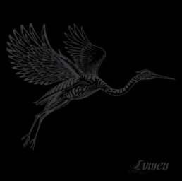 Lvmen - Heron