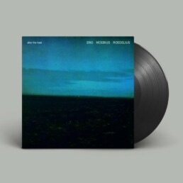 Eno, Moebius, Roedelius - After The Heat - VINYL