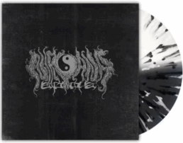 Nirvana 2002 - Recordings 89-91 - VINYL LP