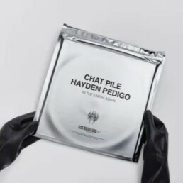 Chat Pile And Hayden Pedigo - In The Earth Again (Deluxe Edition)- VINYL LP