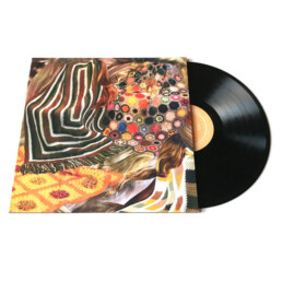 Ty Segall - Sleeper - VINYL LP