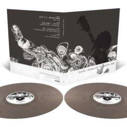 Boris ‎- Dronevil -Example- - VINYL 2LP