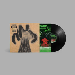 King Gizzard And The Lizard Wizard - I'm In Your Mind Fuzz - VINYL LP