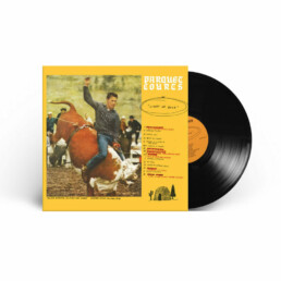 Parquet Courts - Light Up Gold - VINYL LP