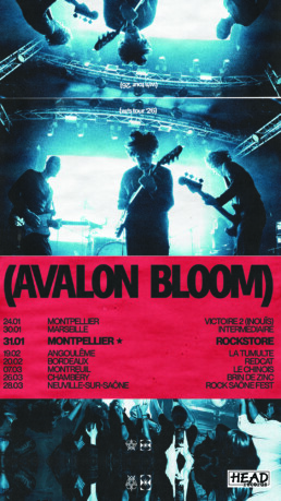 Avalon Bloom 2026 tour poster