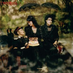 CocoRosie - The Adventures Of Ghosthorse And Stillborn - VINYL