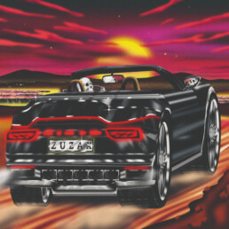 Damaged Bug - Zuzax (baby pink) VINYL