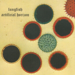 Lungfish ‎- Artificial Horizon
