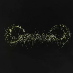 Capricorns - Capricorns - VINYL