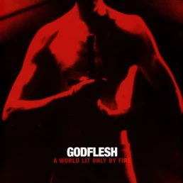 Godflesh - A World Lit Only By Fire (white) - VINYL
