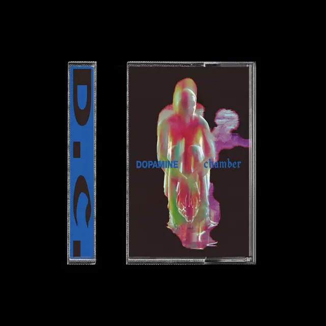 Fontaines D.C. Dopamine Chamber