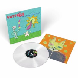 Butthole Surfers - After The Astronaut - VINYL