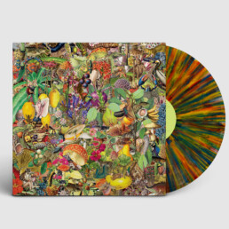 Pneu - Destination Qualité - VINYL LP