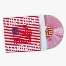 Tortoise - Standards